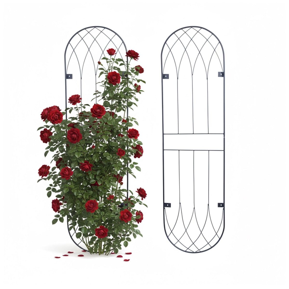 Wall Trellis Set Of 2 – Powder-Coated Steel, Wall-Mount