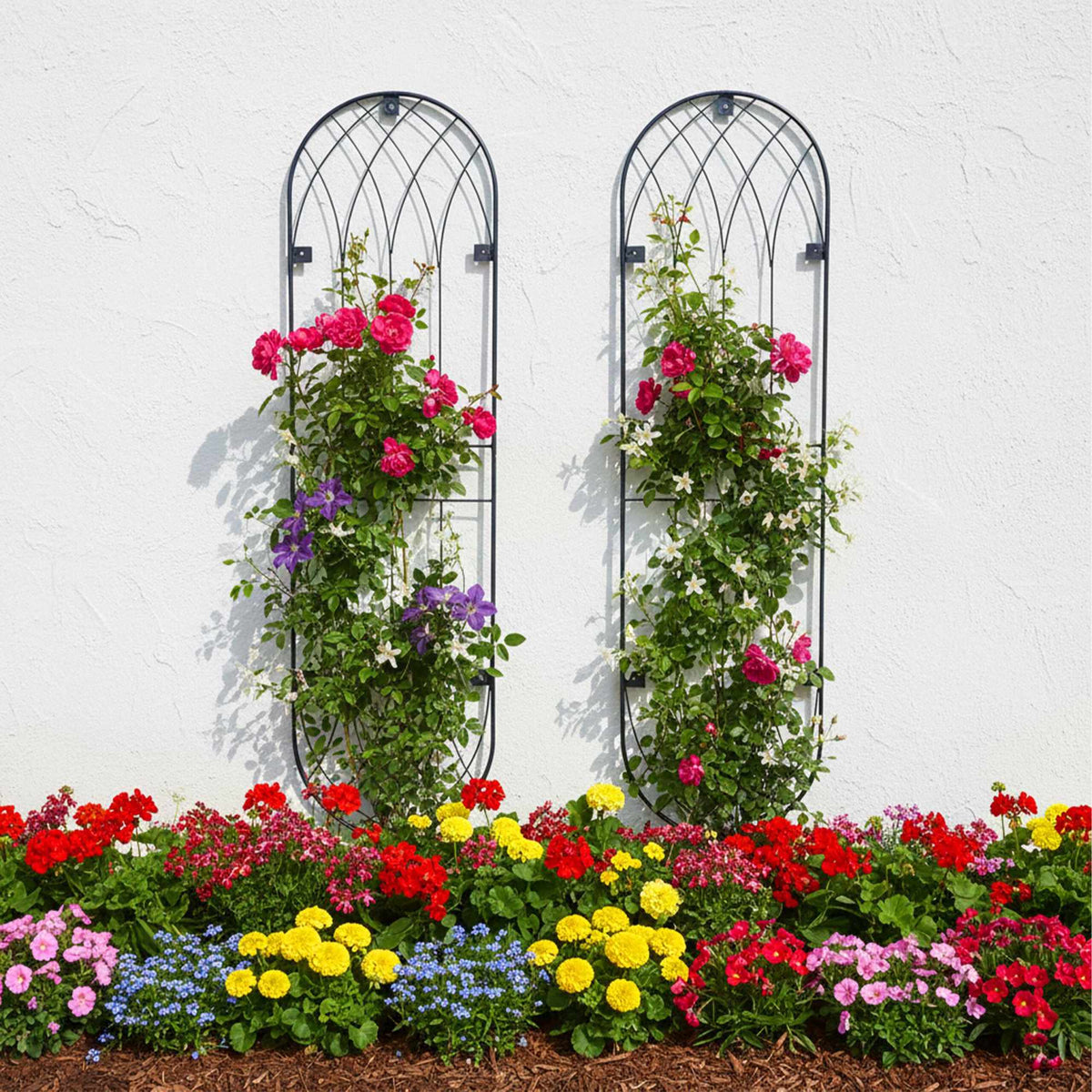 Wall Trellis Set Of 2 – Powder-Coated Steel, Wall-Mount