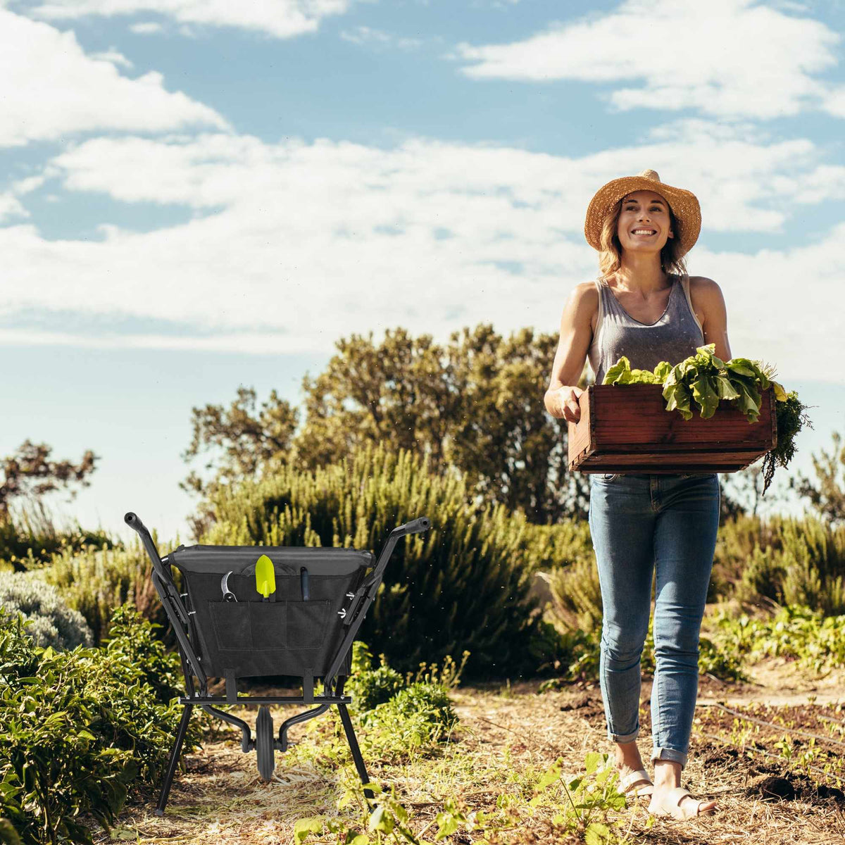Wheelbarrow foldable black