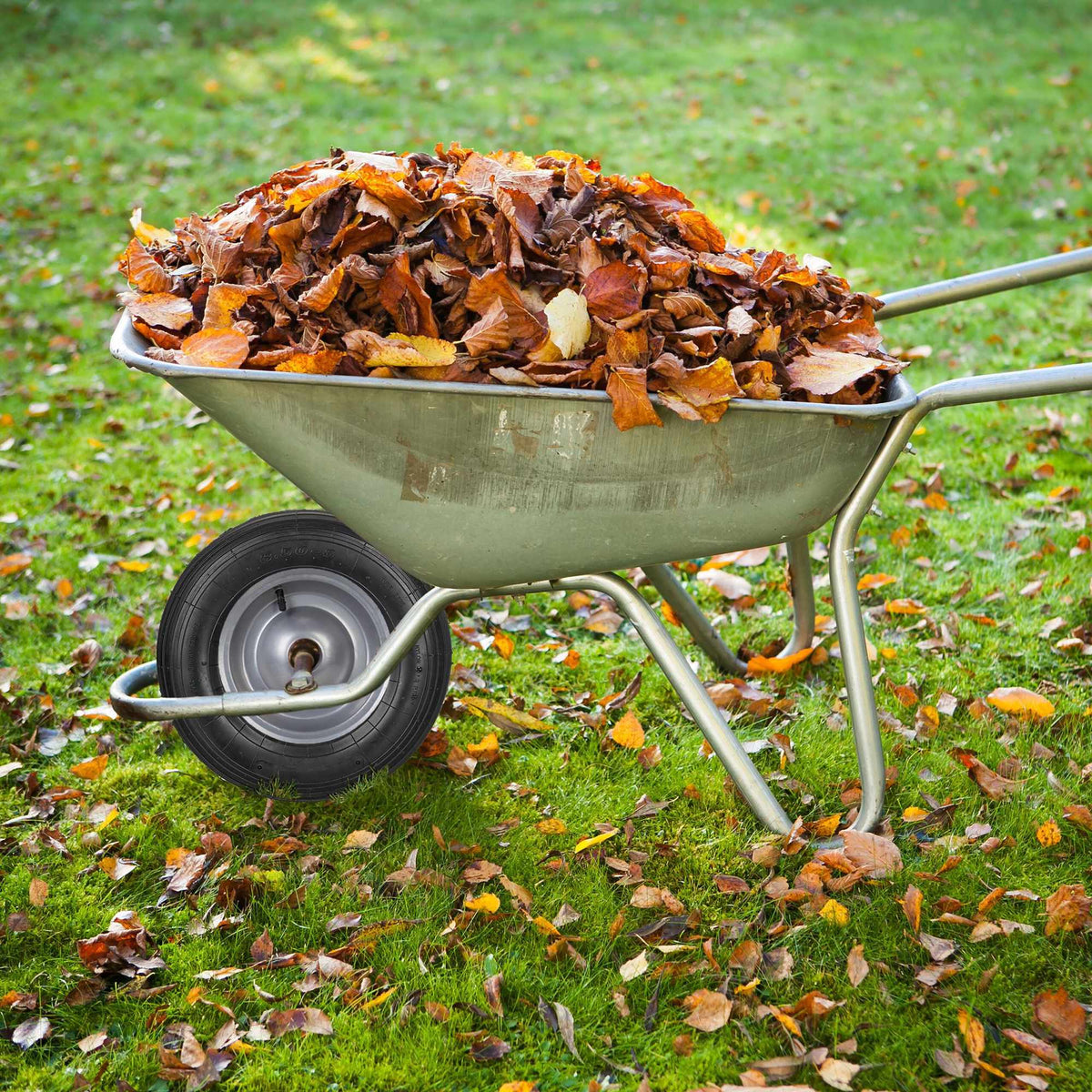 Wheel barrow set of 2 with hose