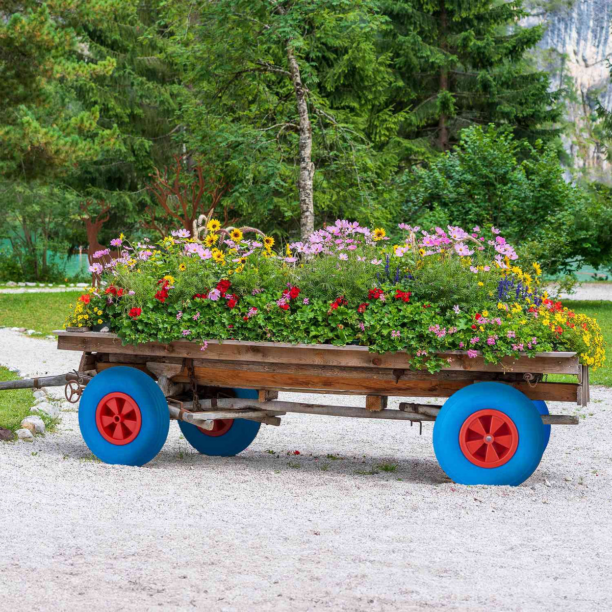 Wheel for wheelbarrow 3.50-6 in blue/red
