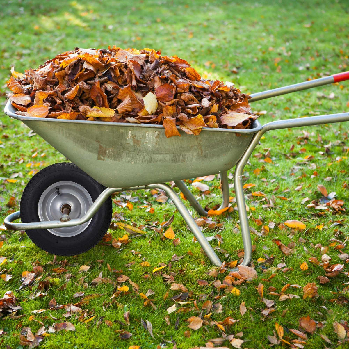 Wheels for wheelbarrow 4.80 4.00-8 Pneumatic tires