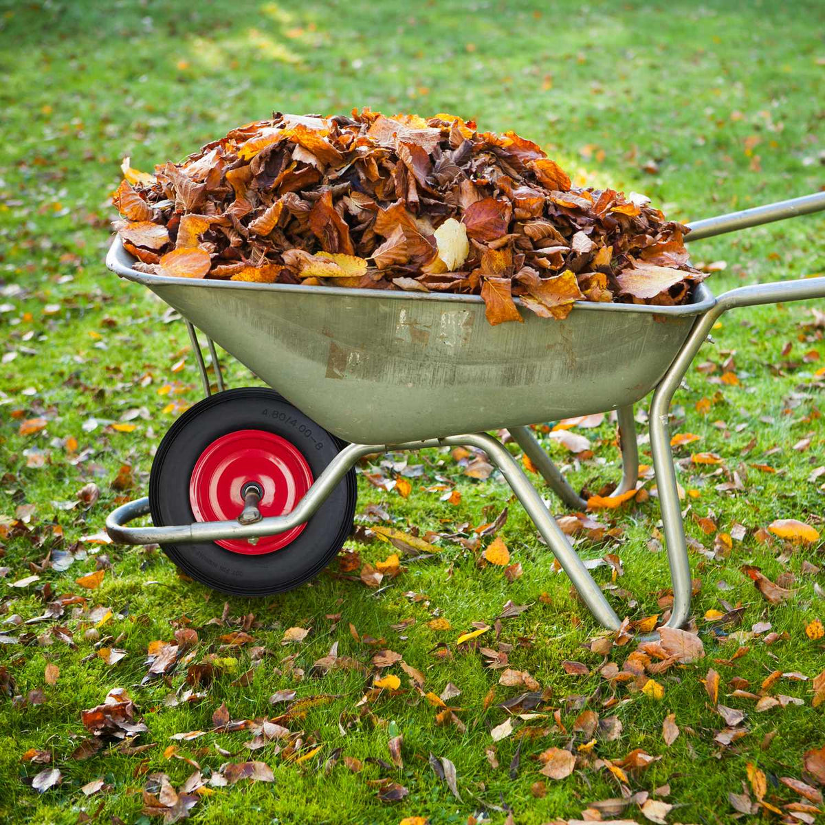 Wheels for wheelbarrow 4.80 4.00-8 with adapters