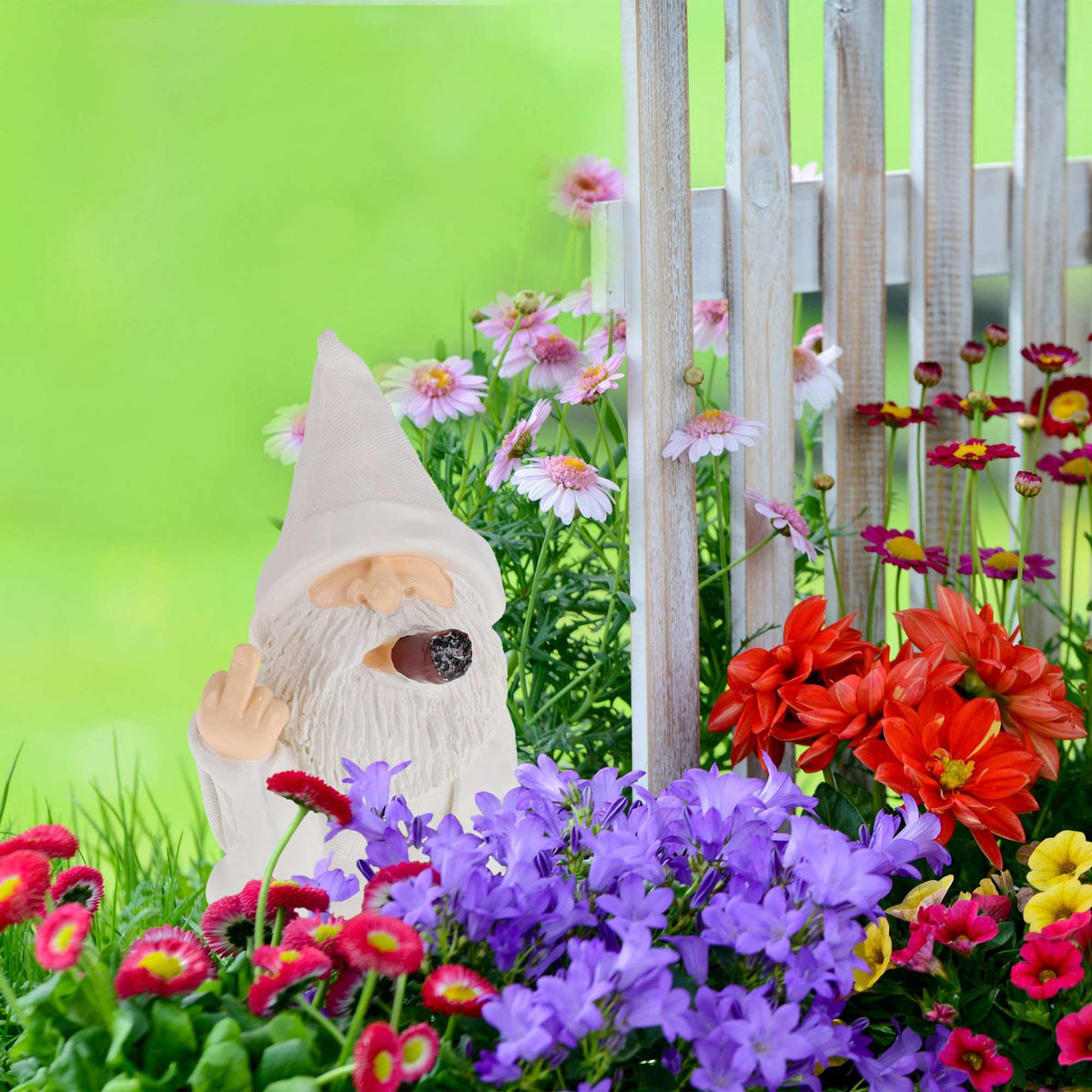 White garden gnome with middle finger