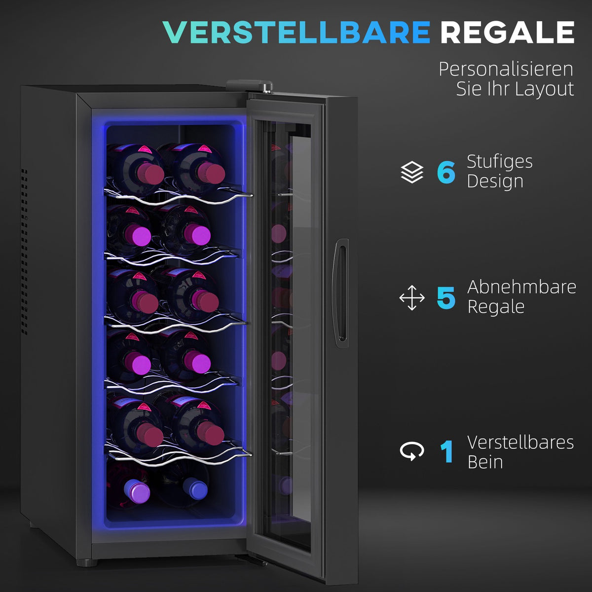 Wine Fridge 12 Bottles 30L 8-18℃ Double Thermoelectric Bottle Fridge with Glass Door, Drinks Fridge with LED Light, Small Wine Cabinet with Touch Screen Black