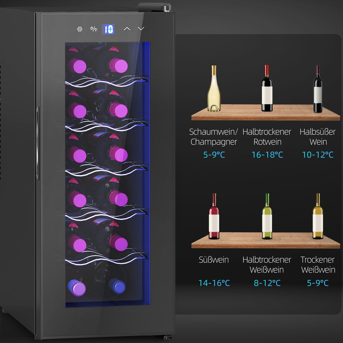 Wine Fridge 12 Bottles 30L 8-18℃ Double Thermoelectric Bottle Fridge with Glass Door, Drinks Fridge with LED Light, Small Wine Cabinet with Touch Screen Black