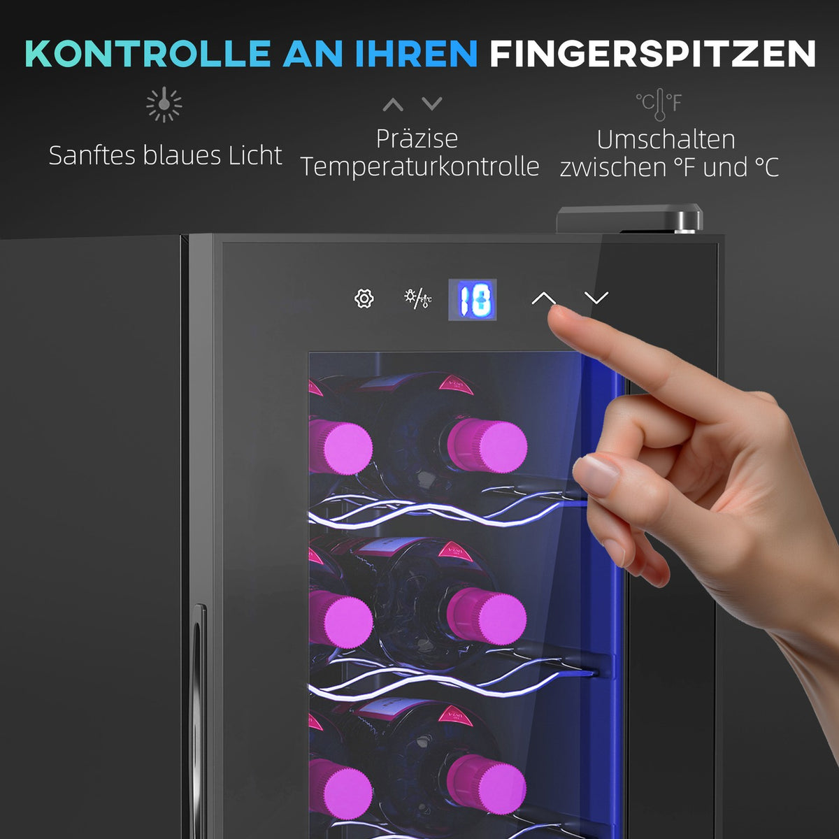 Wine Fridge 12 Bottles 30L 8-18℃ Double Thermoelectric Bottle Fridge with Glass Door, Drinks Fridge with LED Light, Small Wine Cabinet with Touch Screen Black