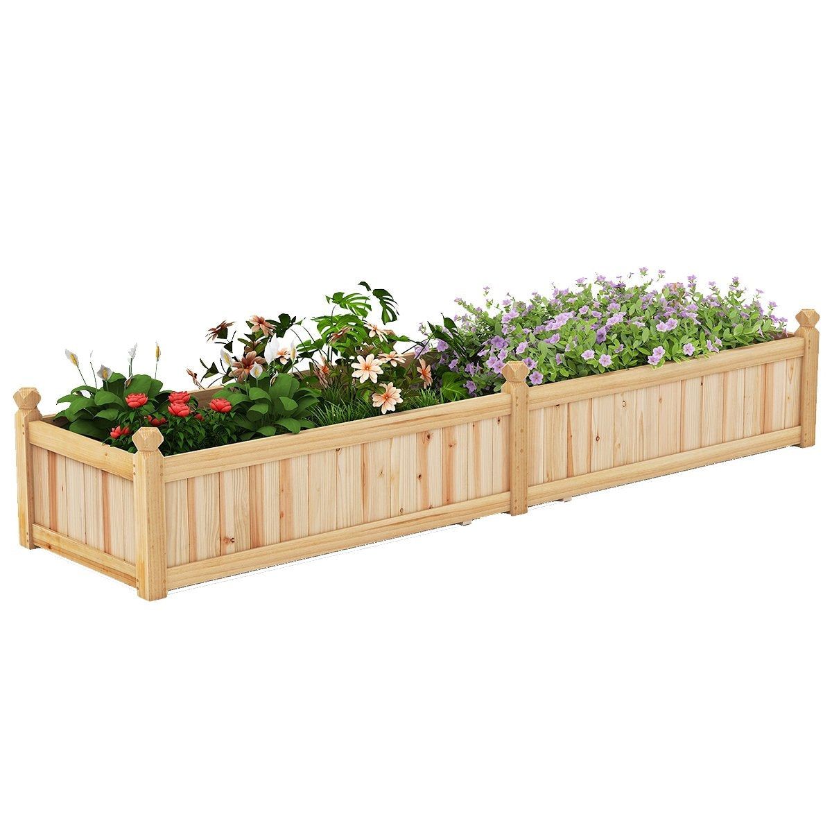 Wood Raised Garden Bed with Divider, Drainage, 227x59.5x40 cm