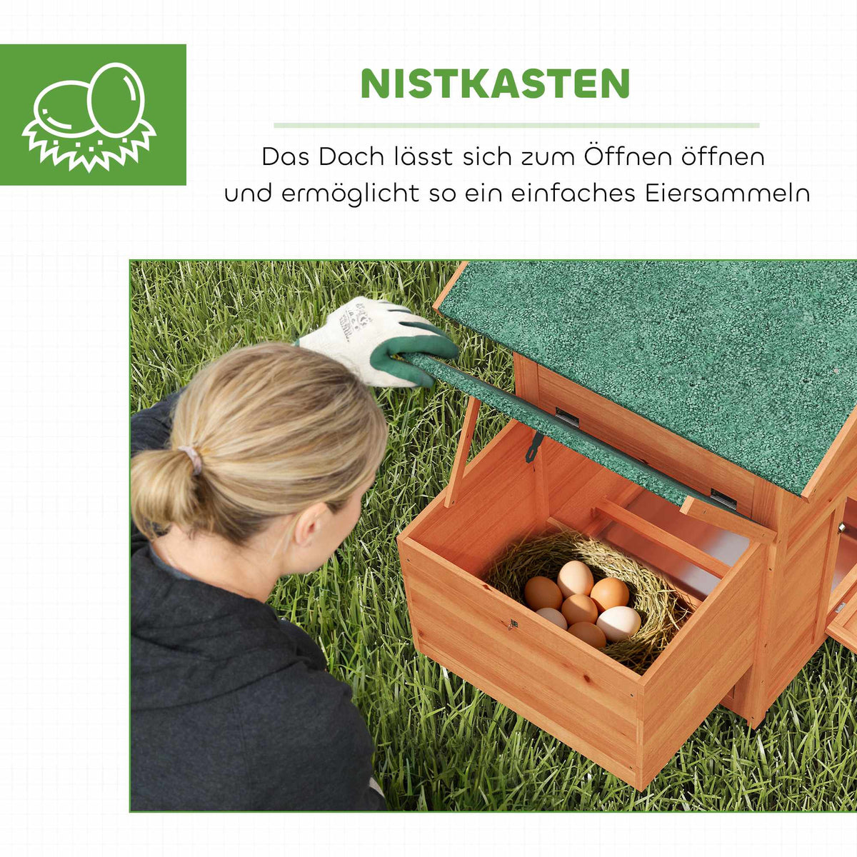 Wooden Chicken Coop with Nesting Box, Perches, Waterproof Roof