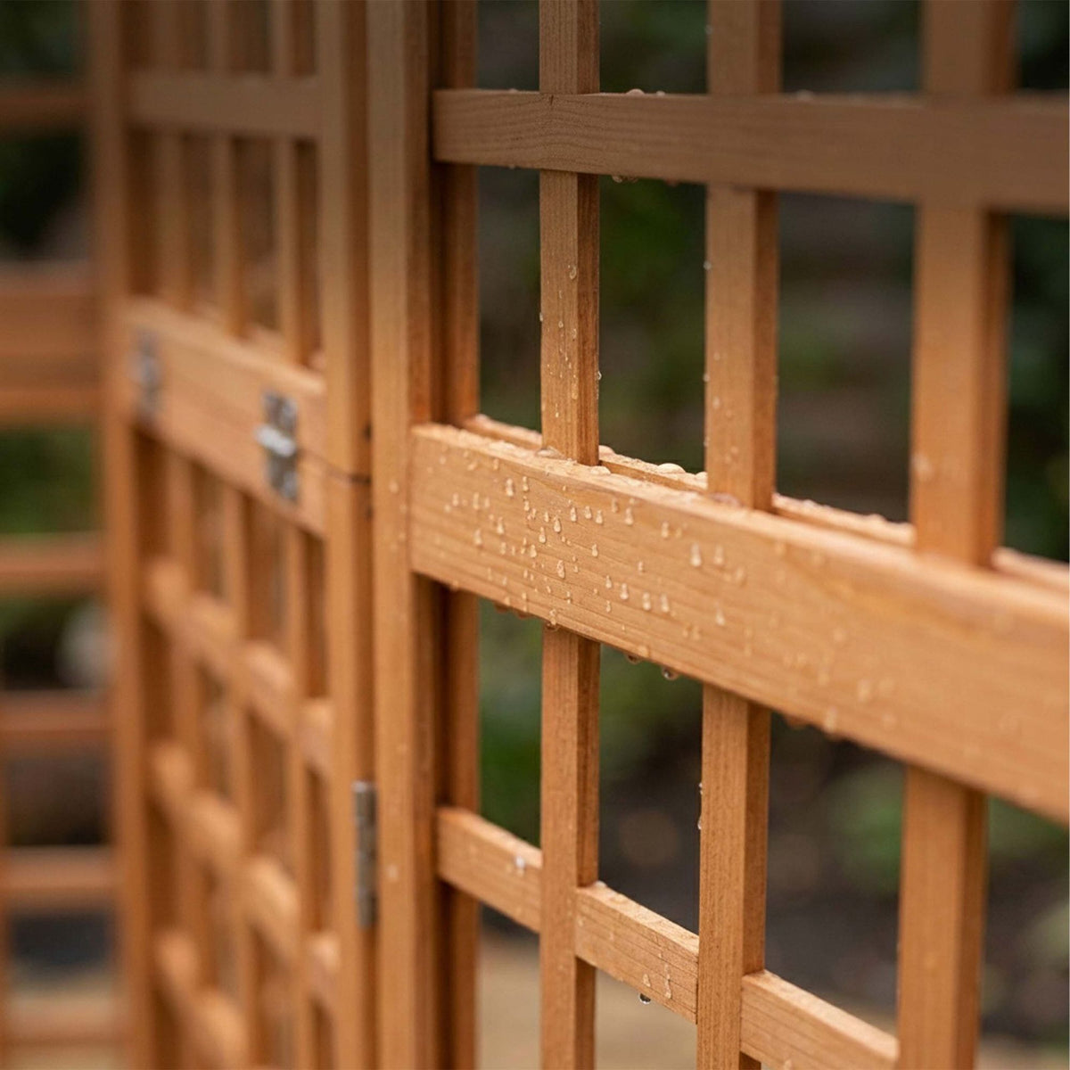 Wooden Trellis Screen, Medium, Brown Fir, 4 Panels