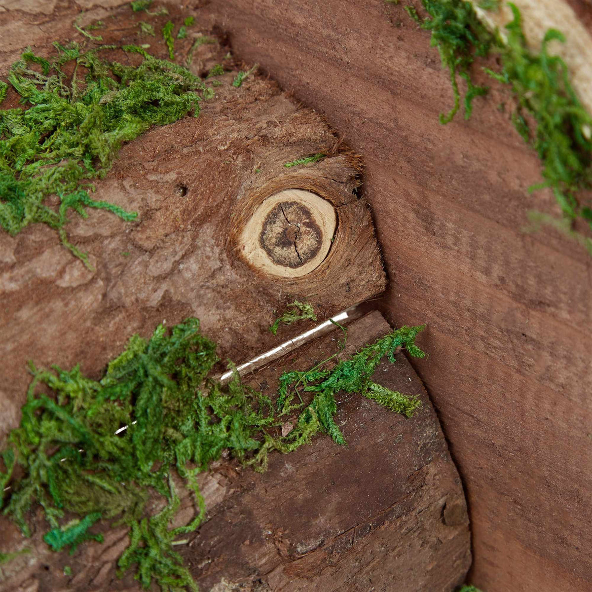 Wooden hedgehog house
