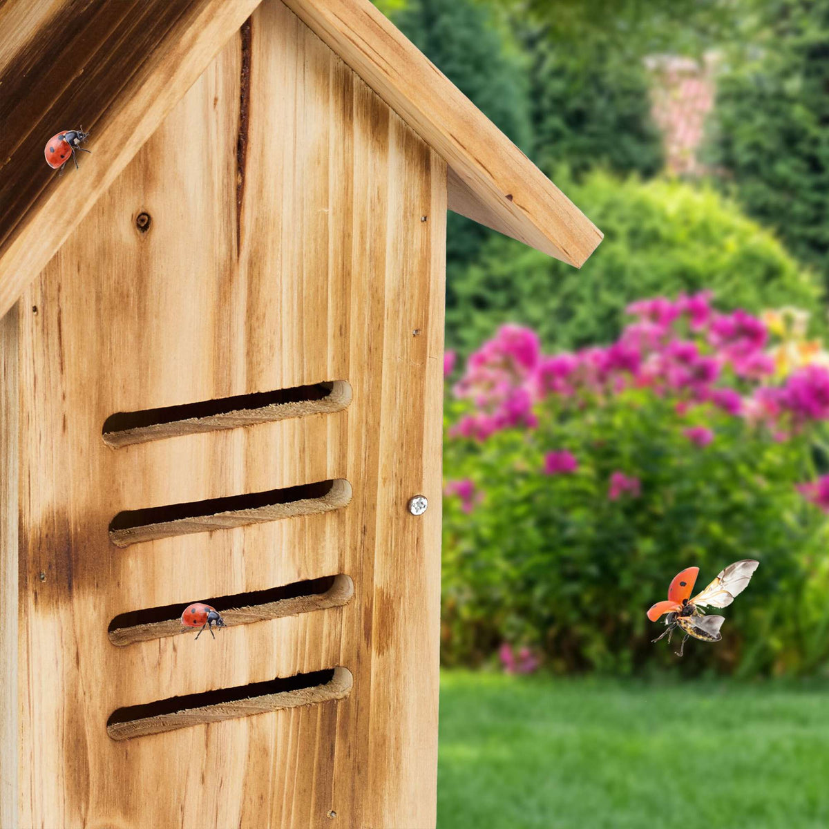 Wooden ladybug house with flames