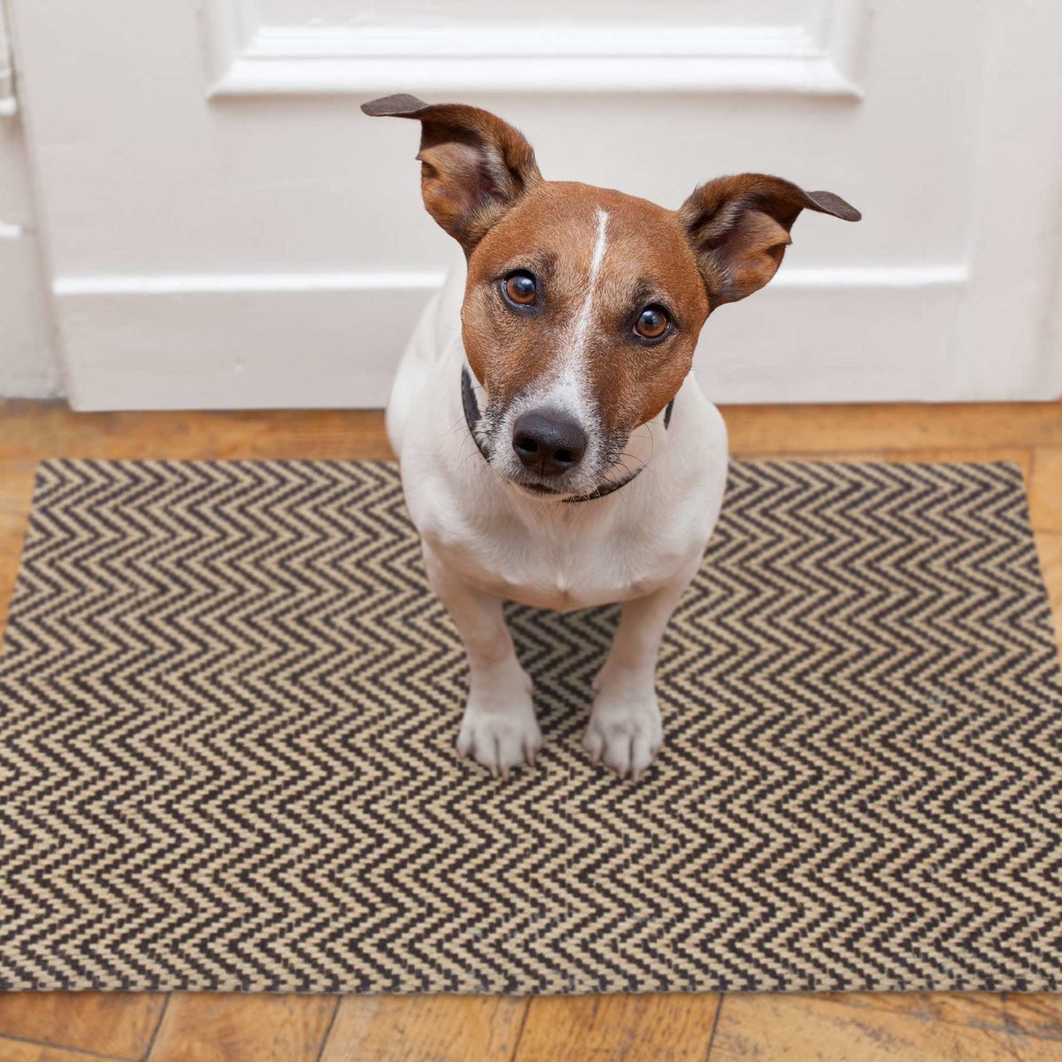 Zigzag Jute Doormat