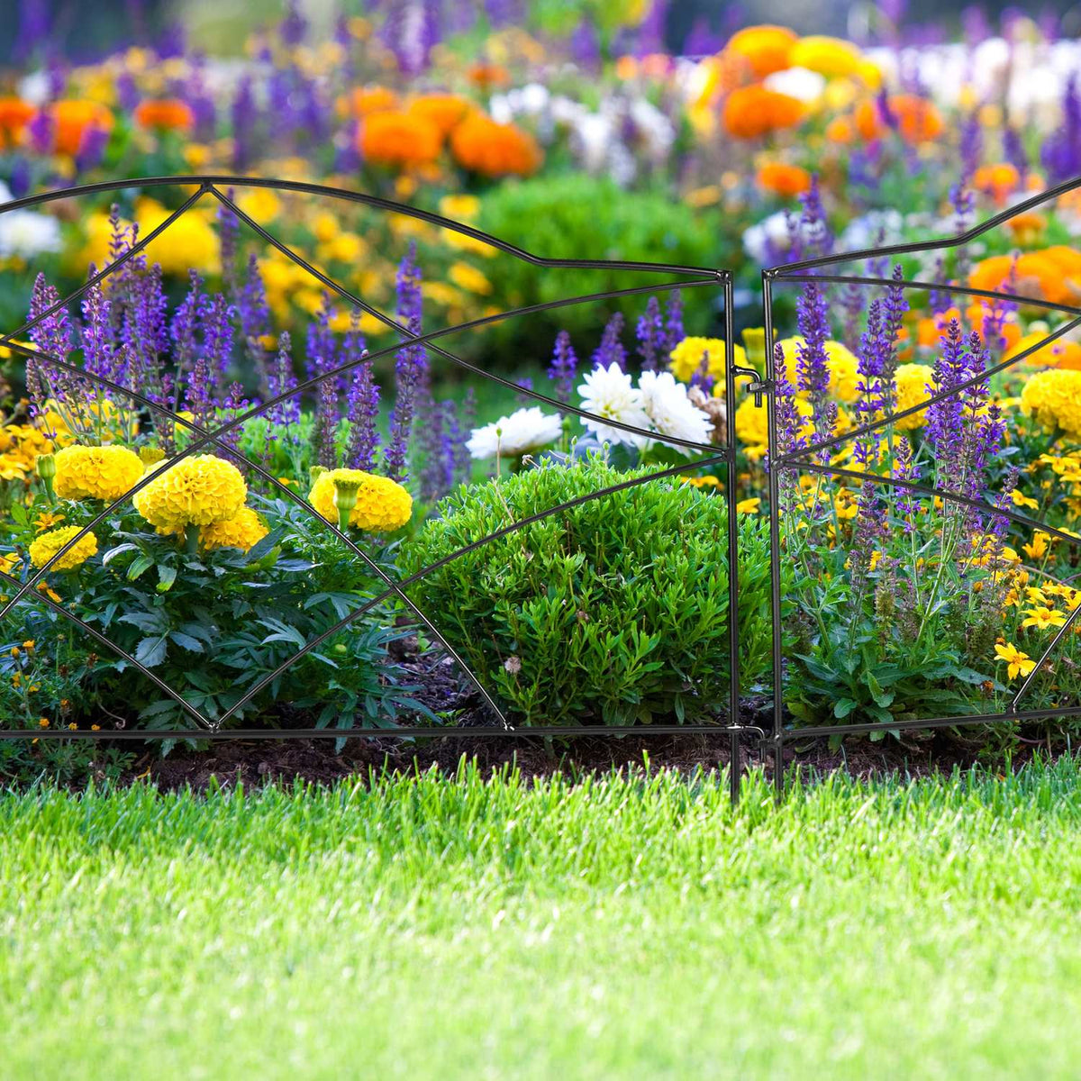 metal flower bed fence in 6 parts