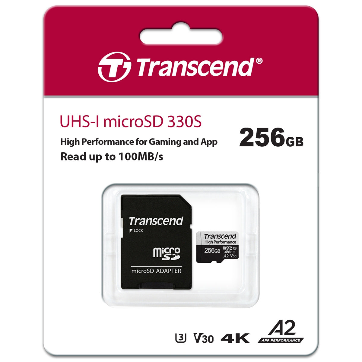 microSDXC 256GB U3 (R100/W85)