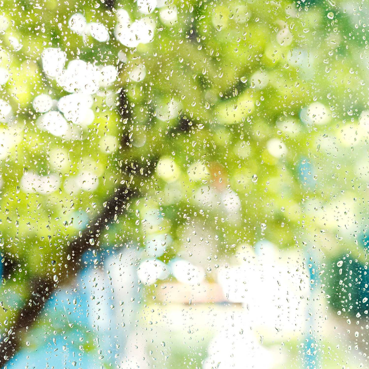 set of 2 rain gauges with holder