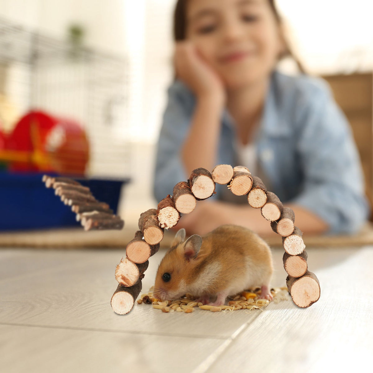 set of 2 wooden rodent bridges 2 sizes